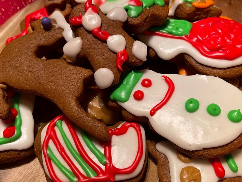 3 Elysse Gingerbread Cookies For Santa.jpg